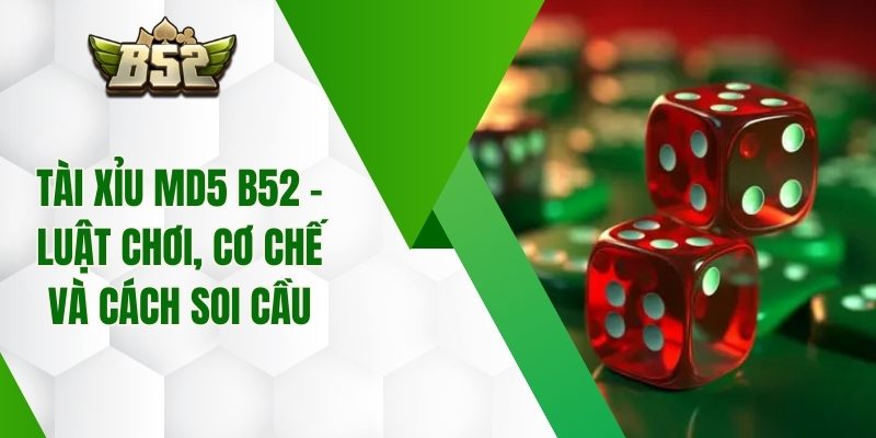 Tài Xỉu MD5 B52 – Luật Chơi, Cơ Chế Và Cách Soi Cầu